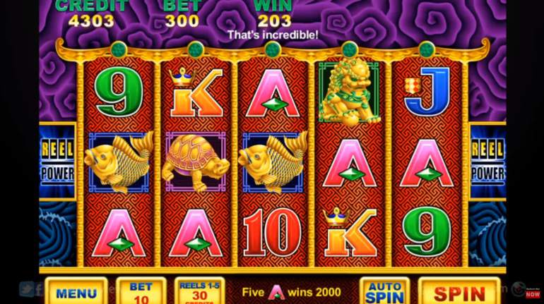 5 Dragons Pokie Machine Win Money